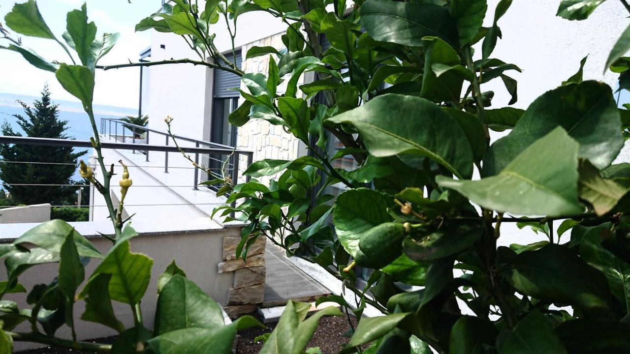 Villa Horizon Starigrad Paklenica Exteriér fotografie